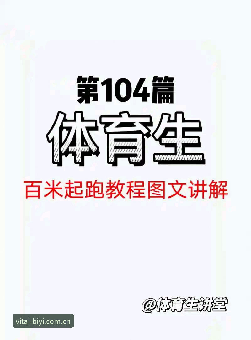 必一体育中文版新手使用指南：从下载到数据查询的完整教程
