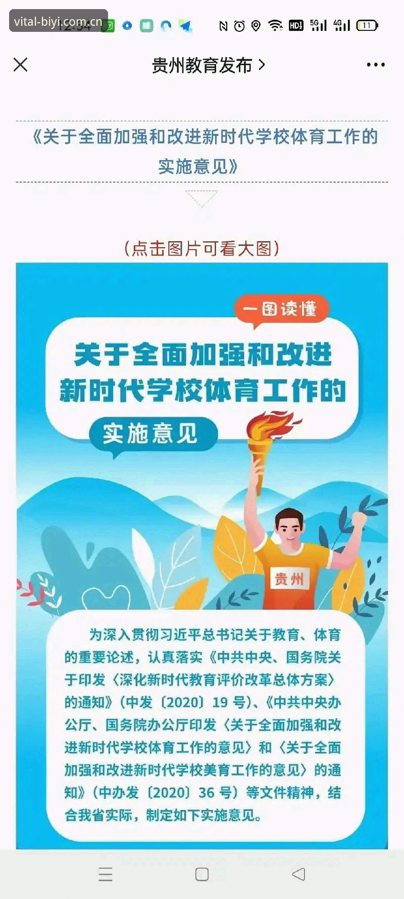 必一体育平台：手机App功能全面解析，探索体育互动新边界